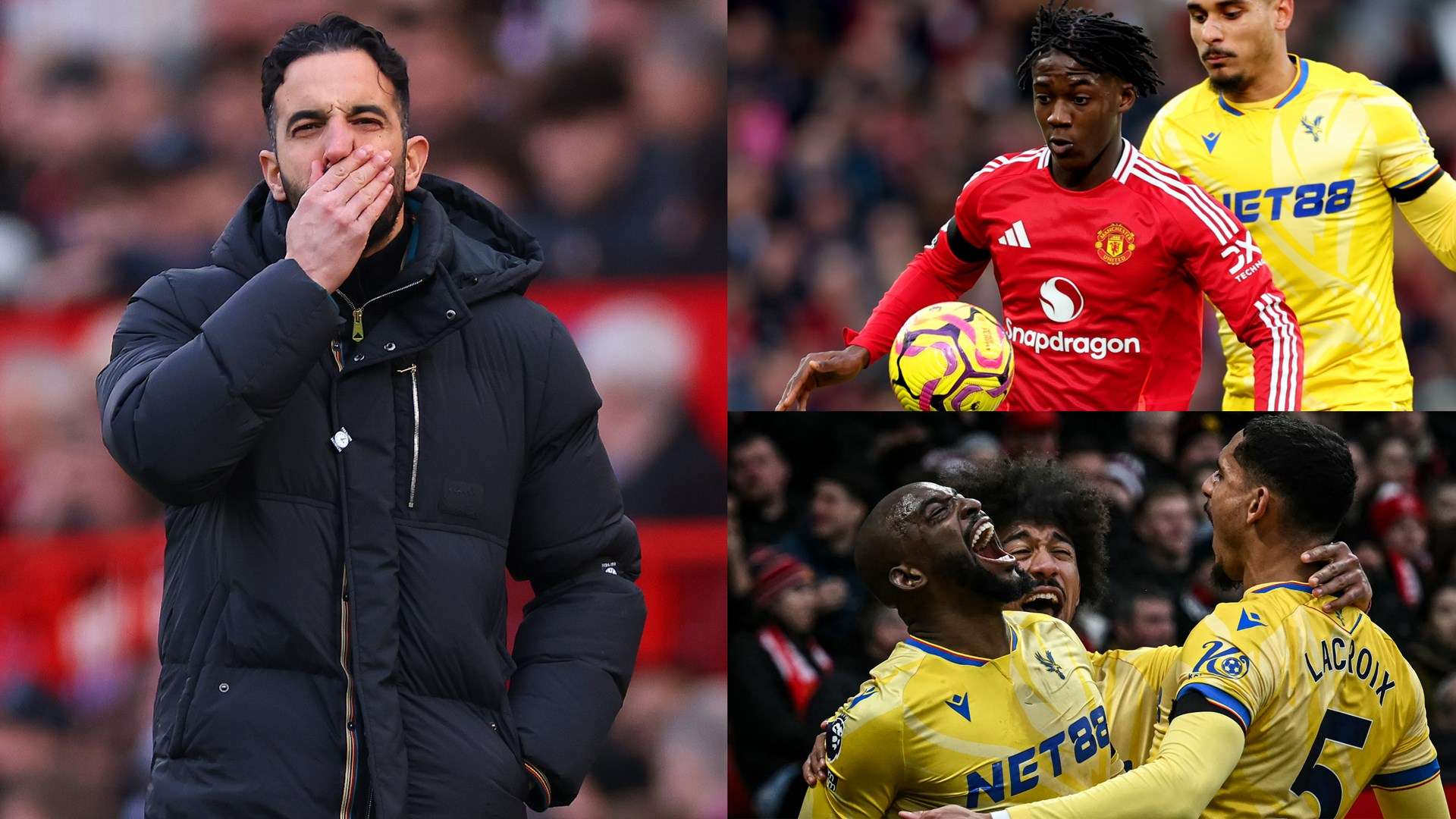 的康復計劃 的康復計劃