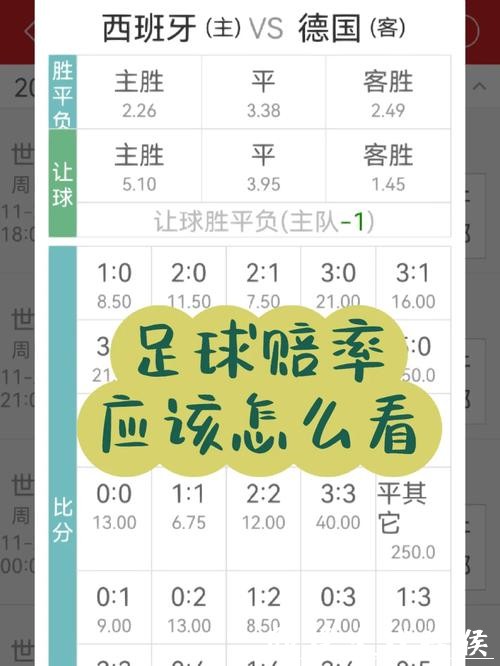 高赔率的世界杯竞猜平台评测 高赔率的世界杯竞猜平台评测